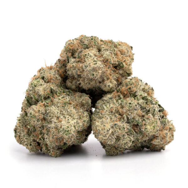 Acapulco Gold - Image 2