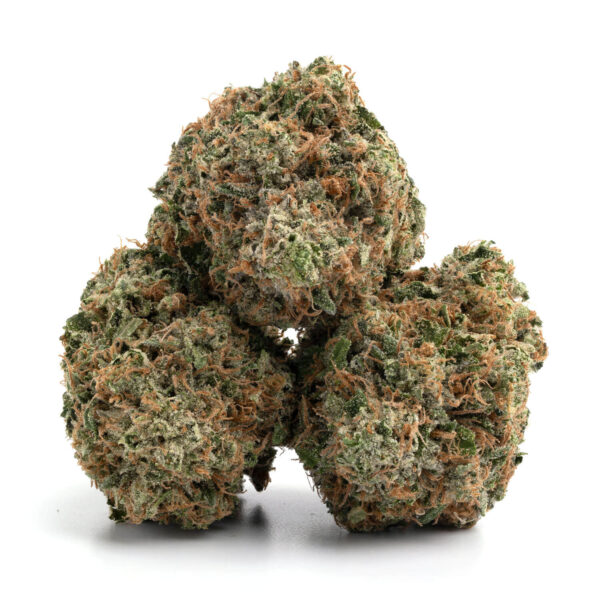 Grease Monkey - Image 2