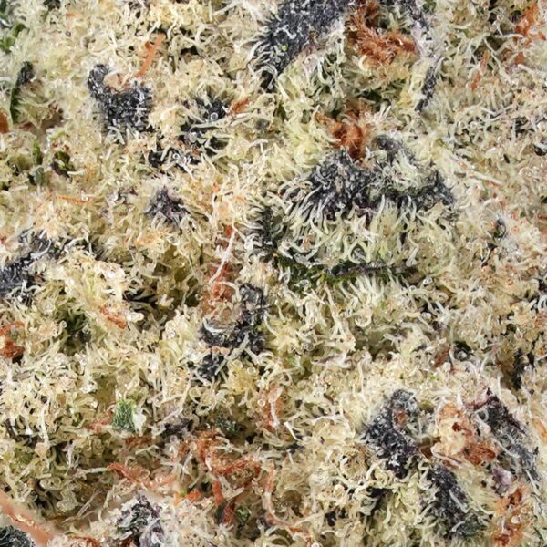 Northern Lights #5 THCa Flower - Image 2