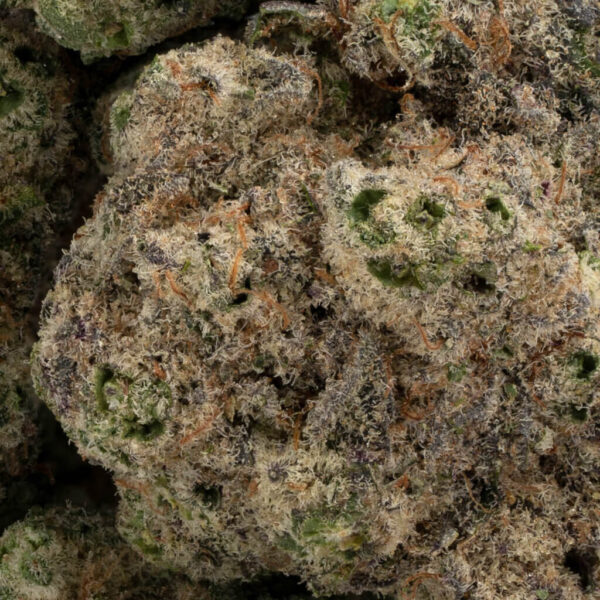 Purple Cream - Image 3
