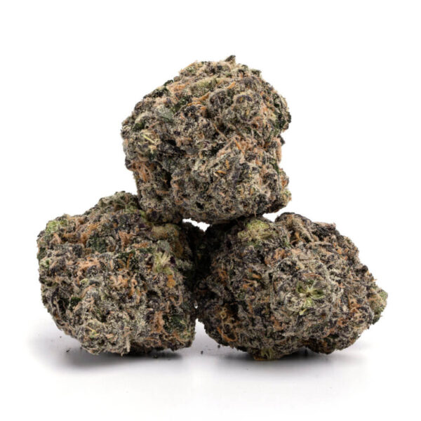 Purple Tangie - Image 2