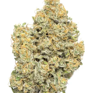 Sour Gummi CBD