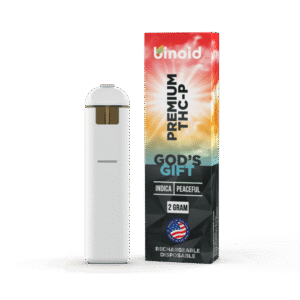 THC-P Rechargeable Disposable – 2 Grams