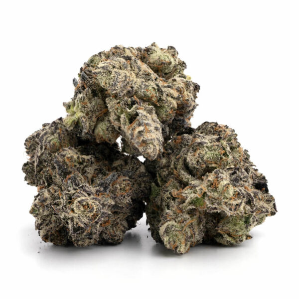 White Truffle - Image 2